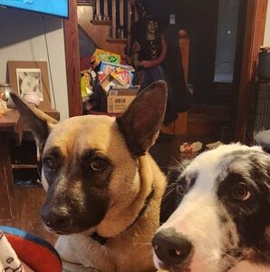 Meet your Posher, Joellynn